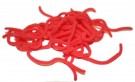 Caster´s Squirmito Worm
