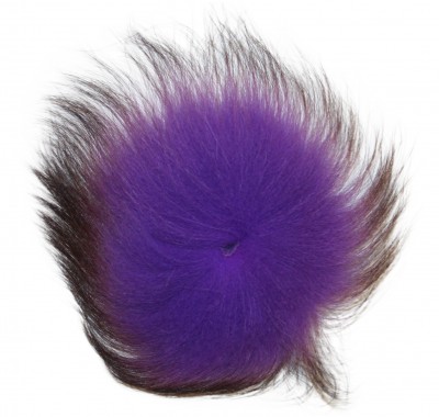 arctic fox purple