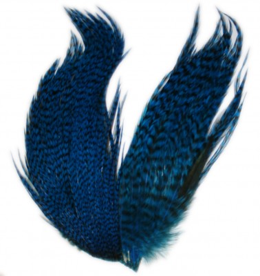 Whiting Bugger Pack - Kingfisher Blue